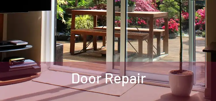 Door Repair