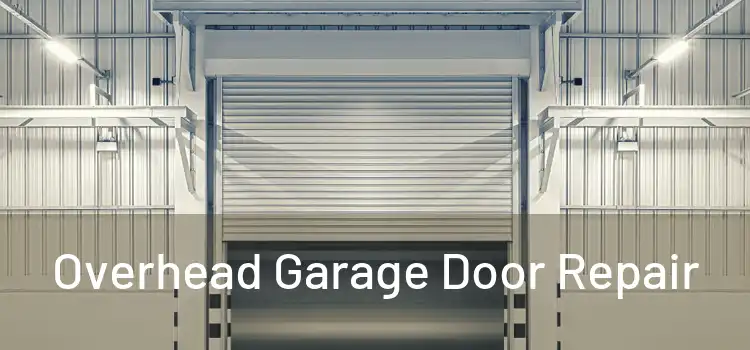  Overhead Garage Door Repair 